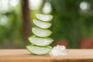 aloe-vera-yutida-thai-massage